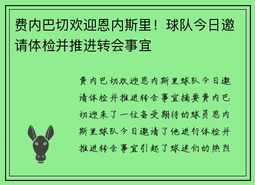 费内巴切欢迎恩内斯里！球队今日邀请体检并推进转会事宜